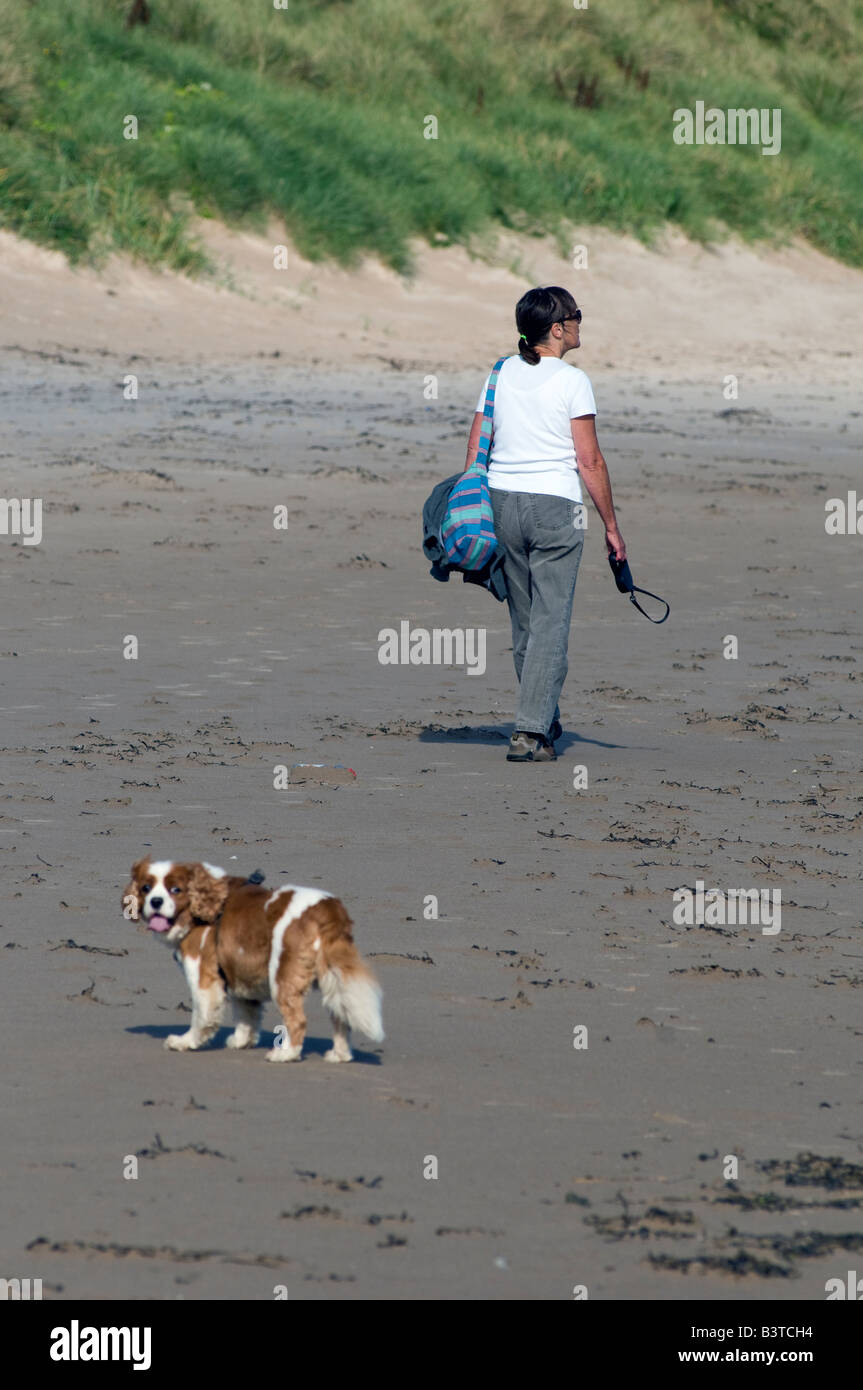 Frau, die ihr Hund am Strand spazieren gehen Stockfoto