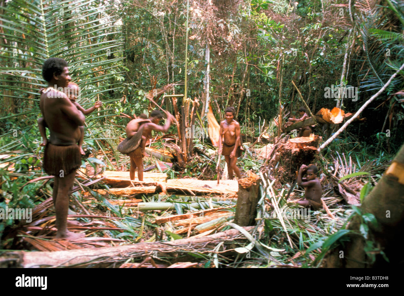 Ozeanien, Indonesien, Irian Jaya. Leute des Stammes Korowai. Stockfoto