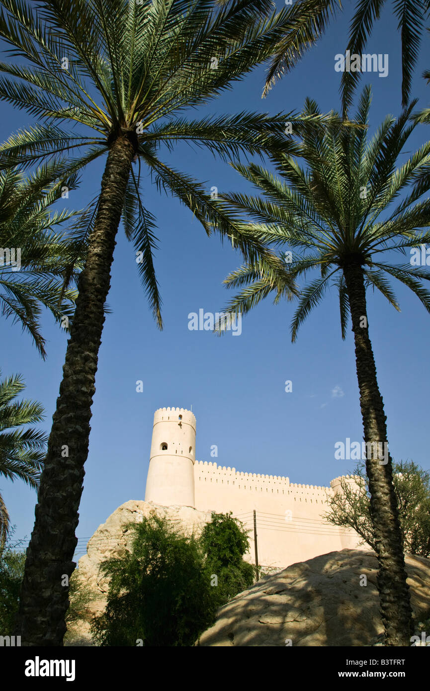 Oman, westlichen Hajar-Gebirge, Nakhl. Dattelpalme Oase Blick auf Nakhl Fort Stockfoto