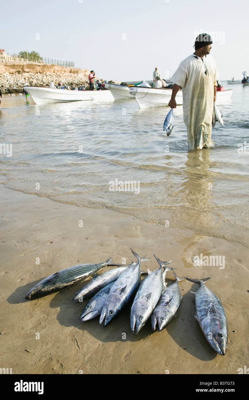 Oman, Sharqiya Fischern der Region, sur Sur Corniche (NR) / Morgen Stockfoto
