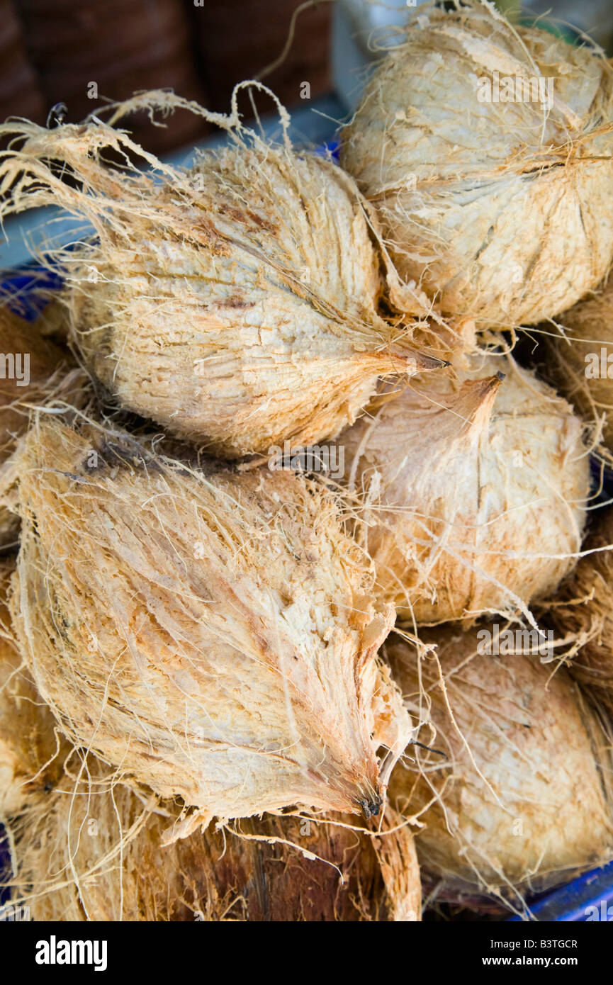 Oman, Dhofar Region Salalah. Kleine Kokosnüsse zu verkaufen Stockfoto