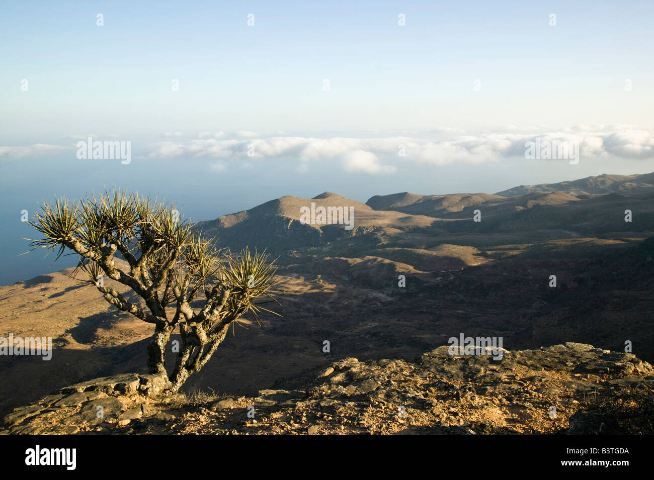 Oman, Region Dhofar, Al Mughsail. Sarfait Straße Landschaft mit eingehenden Nebel Stockfoto