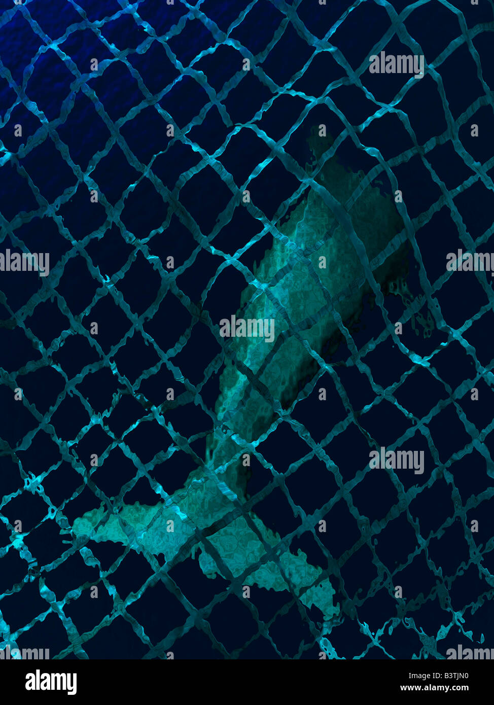 Darstellung der Delphin im Netz unter Wasser gefangen Stockfotografie -  Alamy