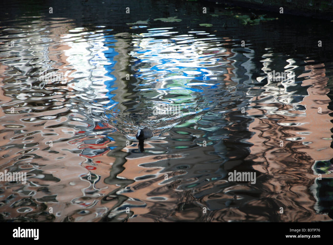 Spiegelbild im Wasser mit Silhouette des Vogels, Delft, Niederlande Stockfoto