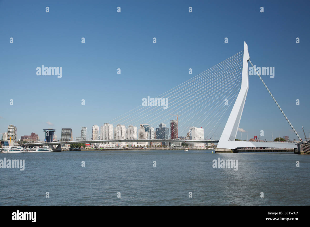 Erasmusbrücke in Rotterdam, Niederlande Stockfoto