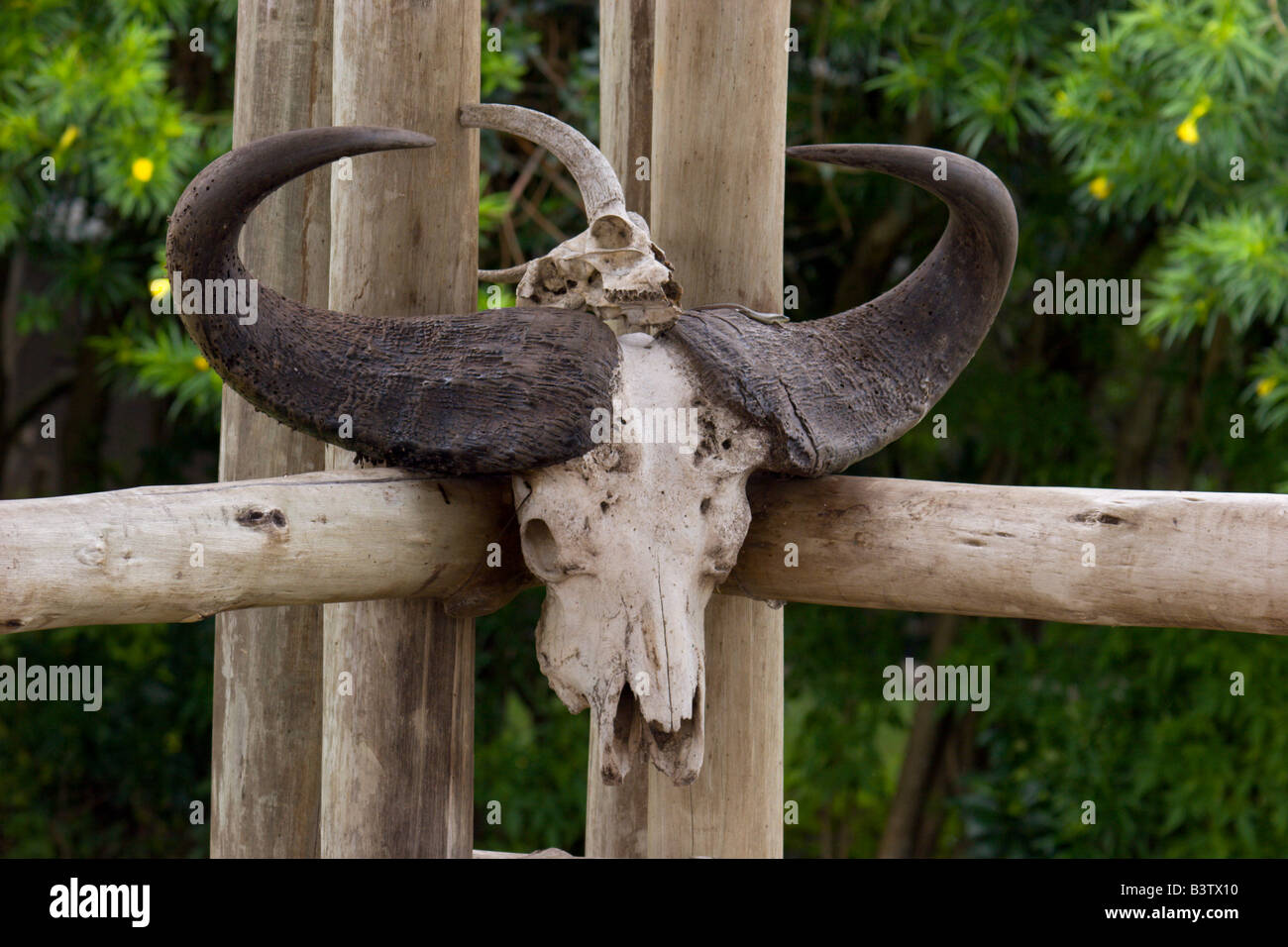 touristischen Uganda Wildlife reserve Queen Elizabeth Park Sehenswürdigkeit Stockfoto