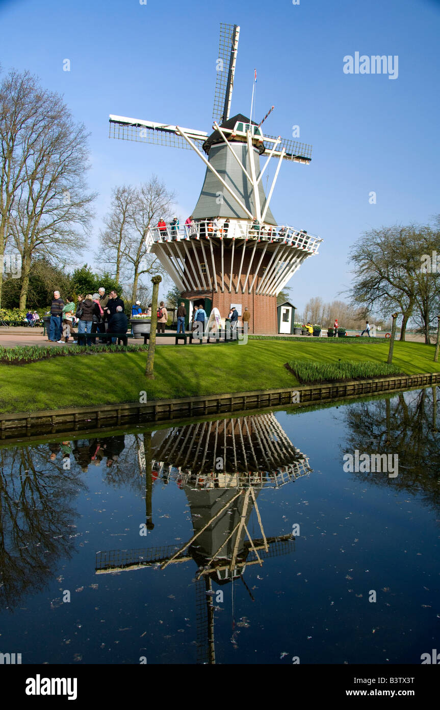 Niederlande, Lisse. Keukenhof Gärten, der weltweit größten Lampe Blumenpark mit mehr als 4,5 Millionen Tulpen. Stockfoto