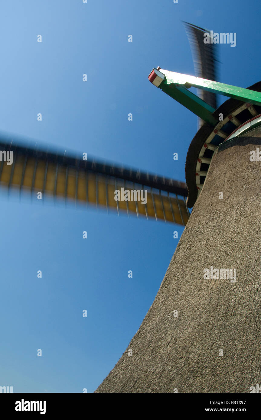 Niederlanden, Zaandam. Zaanse Schans, historische Freilichtmuseum, Ölmühle De Zoeker 1891 baute wind bewegte Segel. Stockfoto