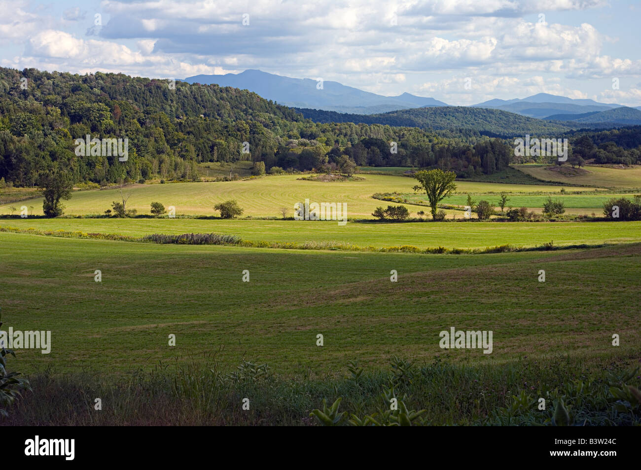 Ansicht der Green Mountains von Vermont mit Feldern im Vordergrund und Ausläufern zu Mt Mansfield. Stockfoto