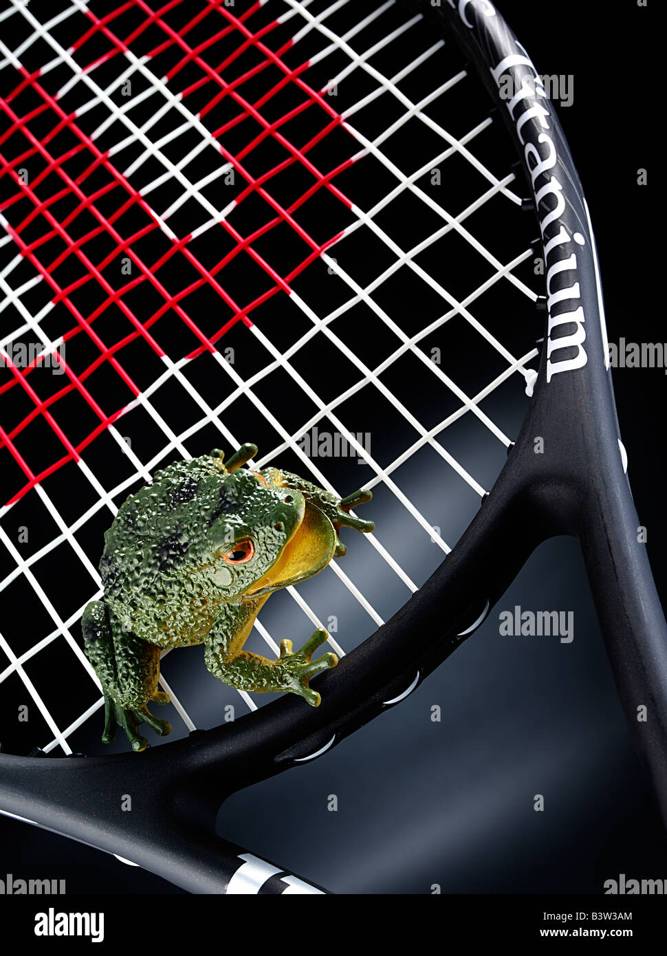 Kunststoff-Frosch springt auf einen Tennisschläger Stockfoto