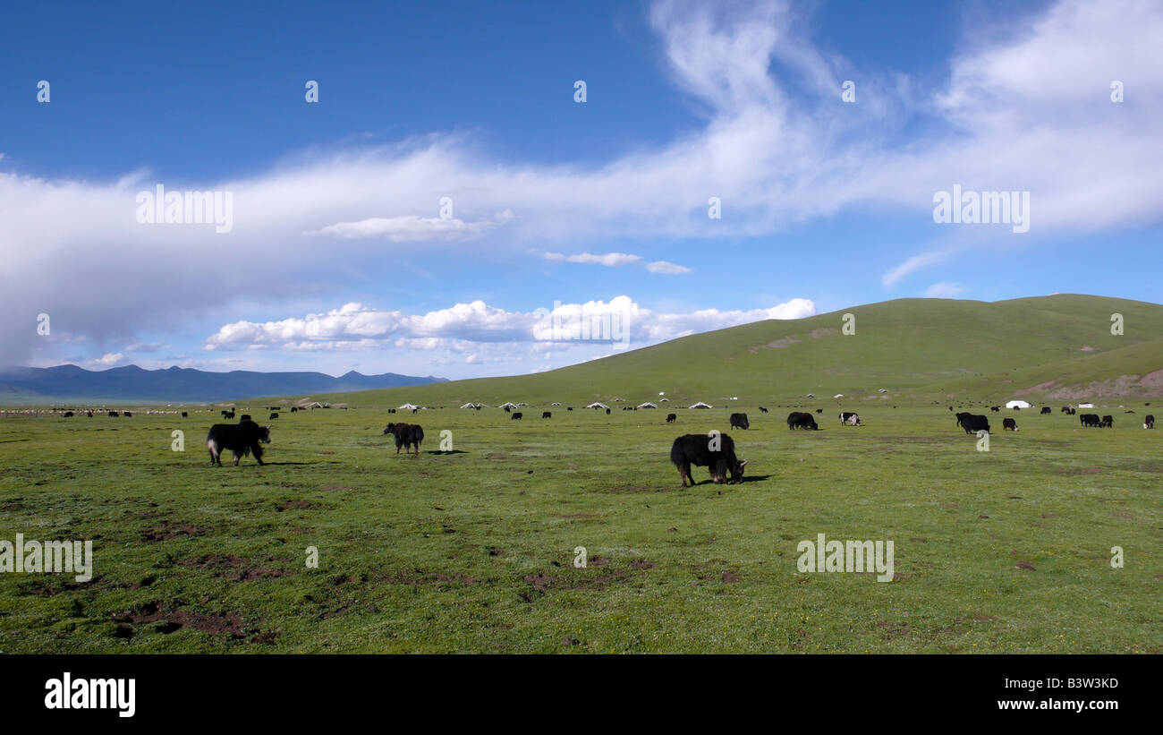 Landschaft Stockfoto