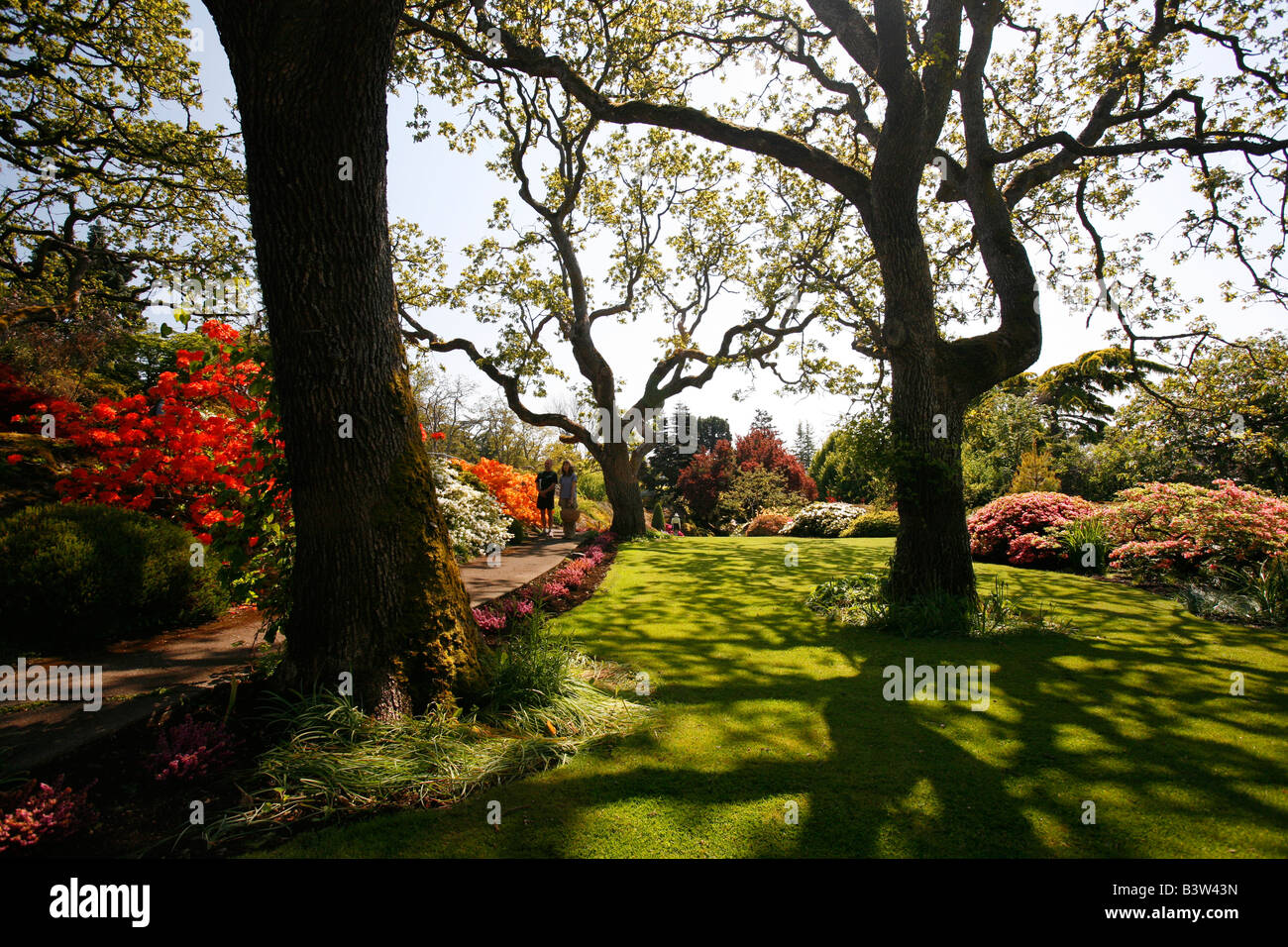 Abkhazi Gardens in Victoria, British Columbia, Kanada Stockfoto