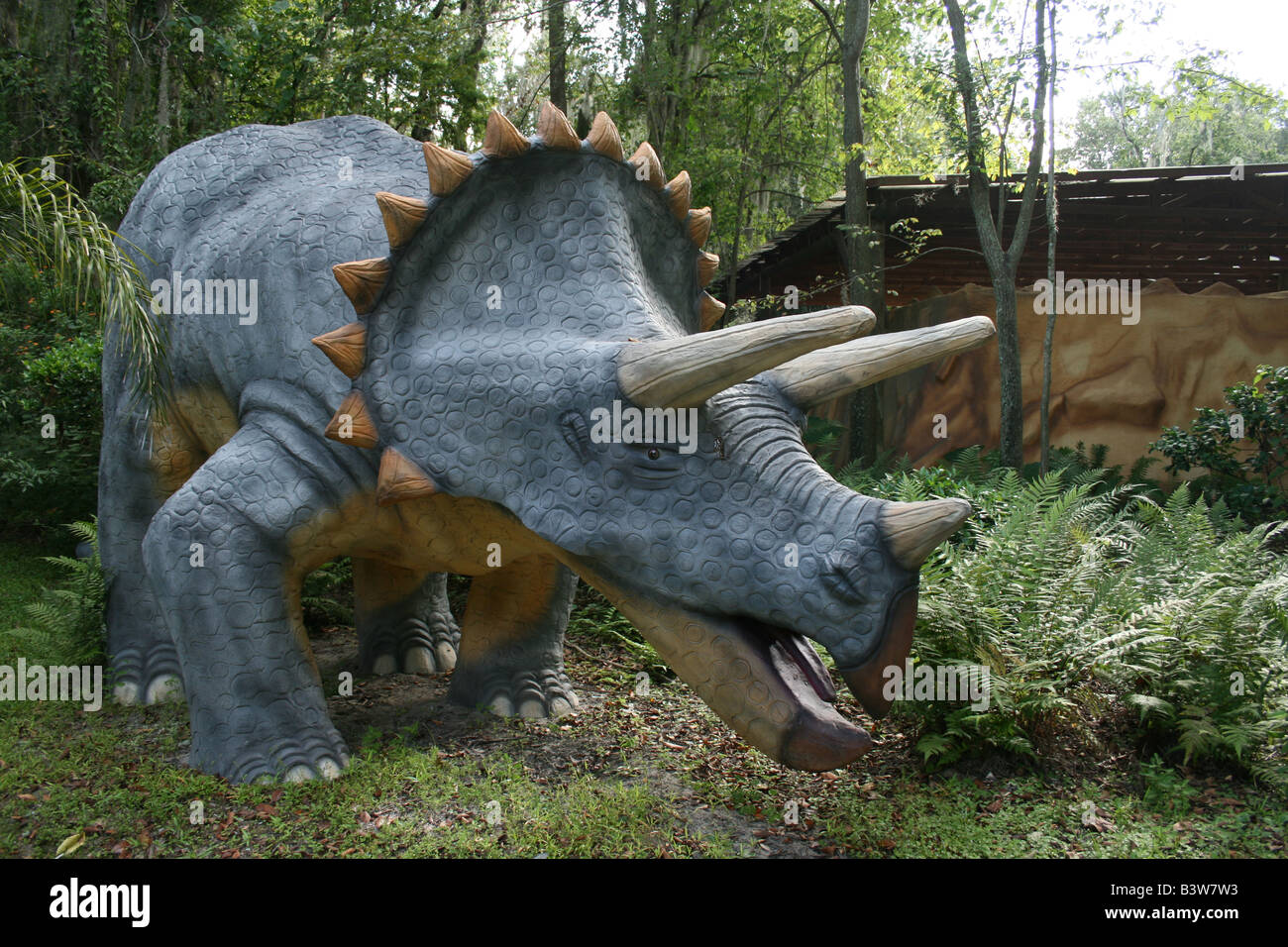 Triceratops Dinosaurier bei Dinosaur World, Plant City, FL. Stockfoto