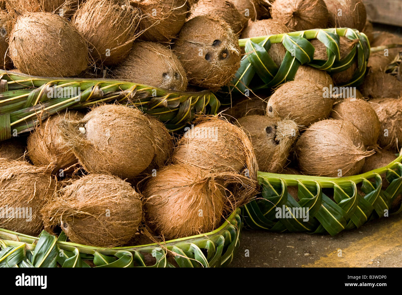 Ozeanien, Polynesien, Königreich Tonga. Anzeige der Kokosnüsse in geflochtenen Körben auf dem Markt zu verkaufen. Stockfoto