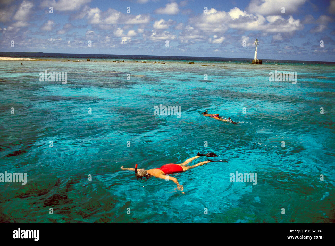 Ozeanien, Französisch-Polynesien, Borabora. Schnorcheln mit Schwarzspitzen Haie. Stockfoto
