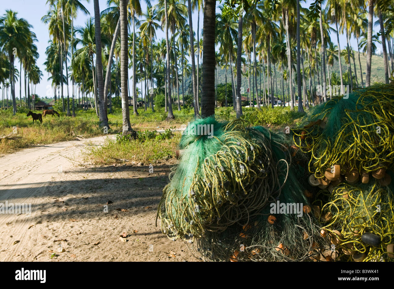 Mexiko, Guerrero, Barra de Potosi. Palm-Straße Stockfoto