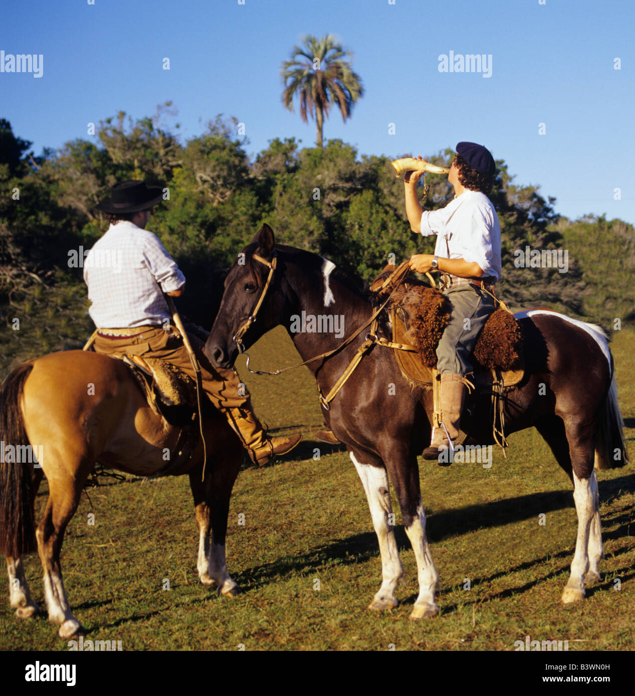 Südamerika, Uruguay, Florida, authentische Gauchos auf einer bewirtschafteten Ranch. Stockfoto