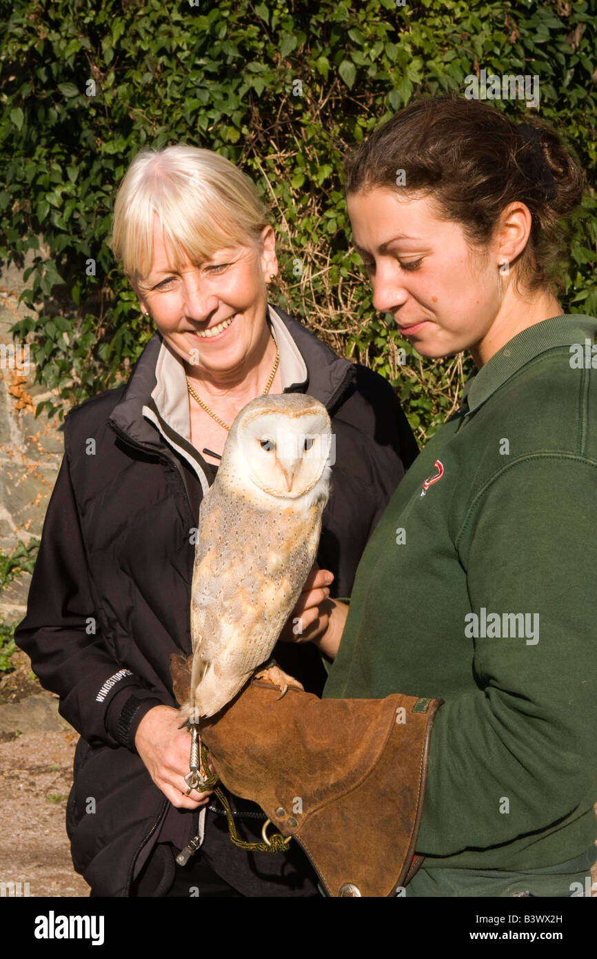 UK Wales Clwyd Colwyn Bay Welsh Mountain Zoo Besucher und Handler mit Schleiereule am arm Stockfoto