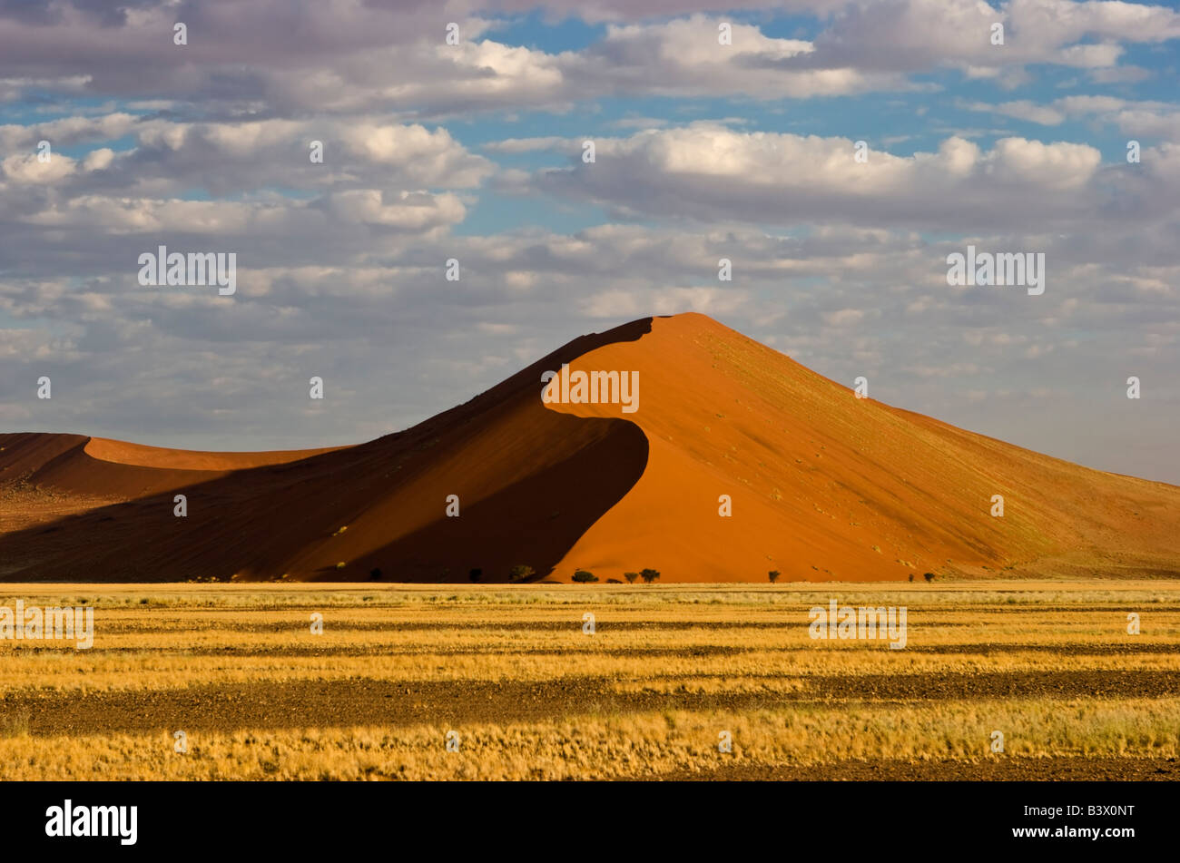 Sanddüne in der Namib-Naukluft National Park, Namibia Stockfoto