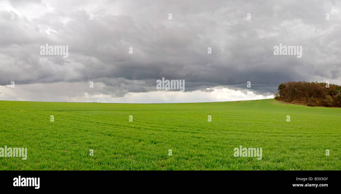 Gewitterwolken über eine grüne Wiese in Côte de Nuits in der Nähe von Beaune Burgund Frankreich Stockfoto