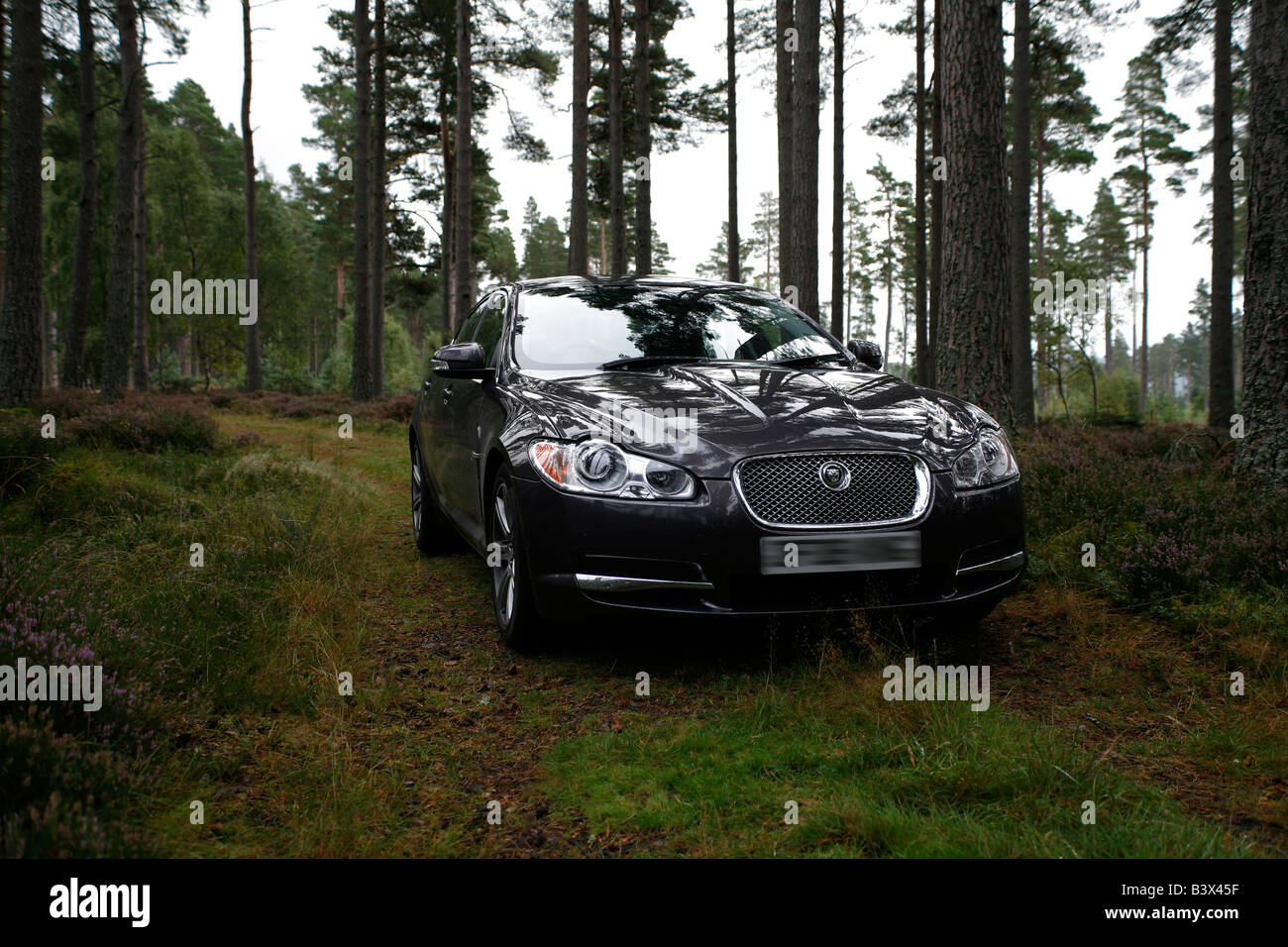 Der Jaguar XF Stockfoto