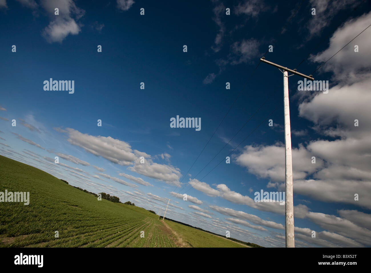 Stromleitungen in einem Prärie-Feld Stockfoto