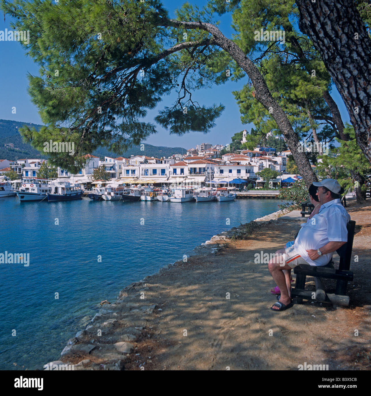 Mann sitzt unter einem Olivenbaum In den Hafen Skiathos Stadt Skiathos griechische Inseln Griechenland Hellas Stockfoto