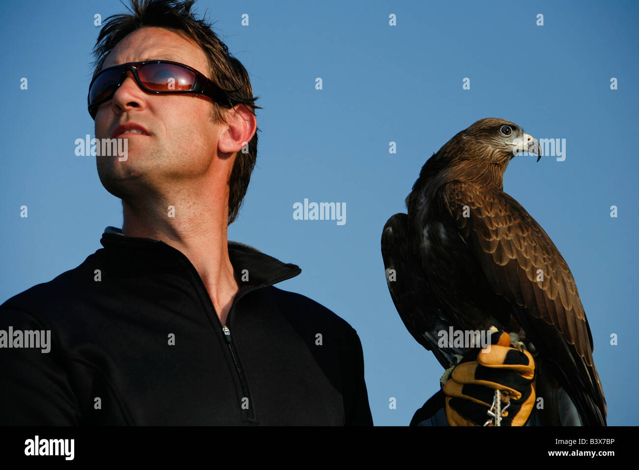 Ein Vogel der Schwarzmilan (Milvus Migrans) und Falkner Stockfoto