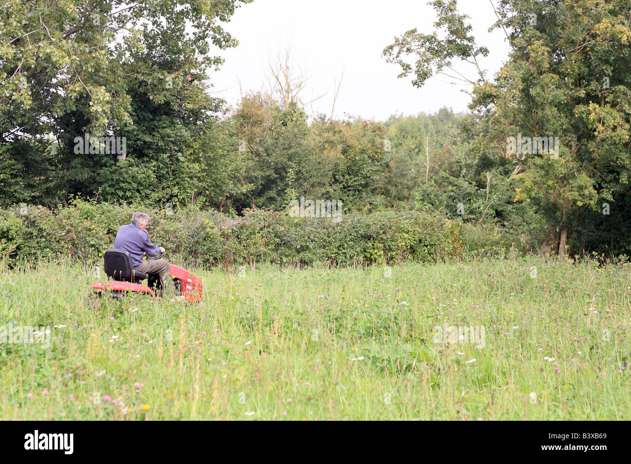 Rasenmähen auf Reiten-auf Rasenmäher Mann Stockfoto