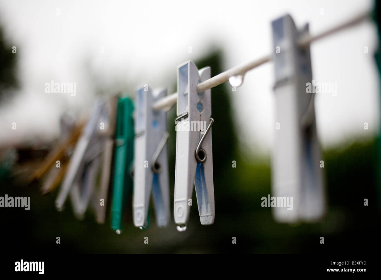 Wäscheklammer auf einem nassen Wäscheleine nass. Stockfoto