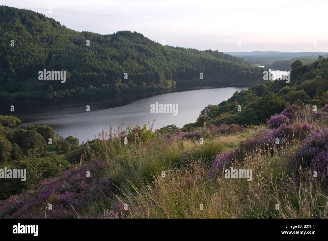 Loch Trool, Dumfries & Galloway Stockfoto