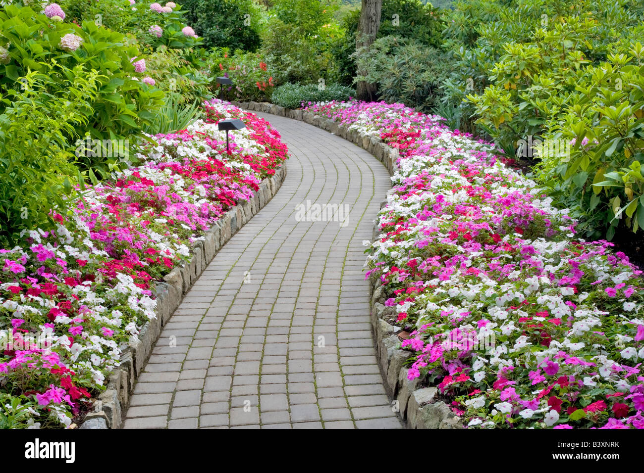 Weg mit Blumen Butchart Gardens B C Kanada Stockfoto