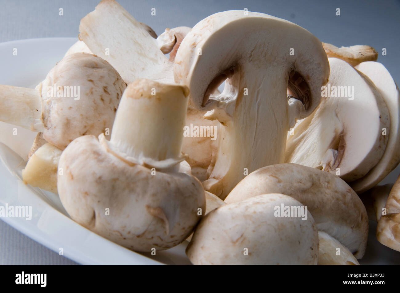 Food-Fotografie, Pilze in Studio-setup Stockfoto