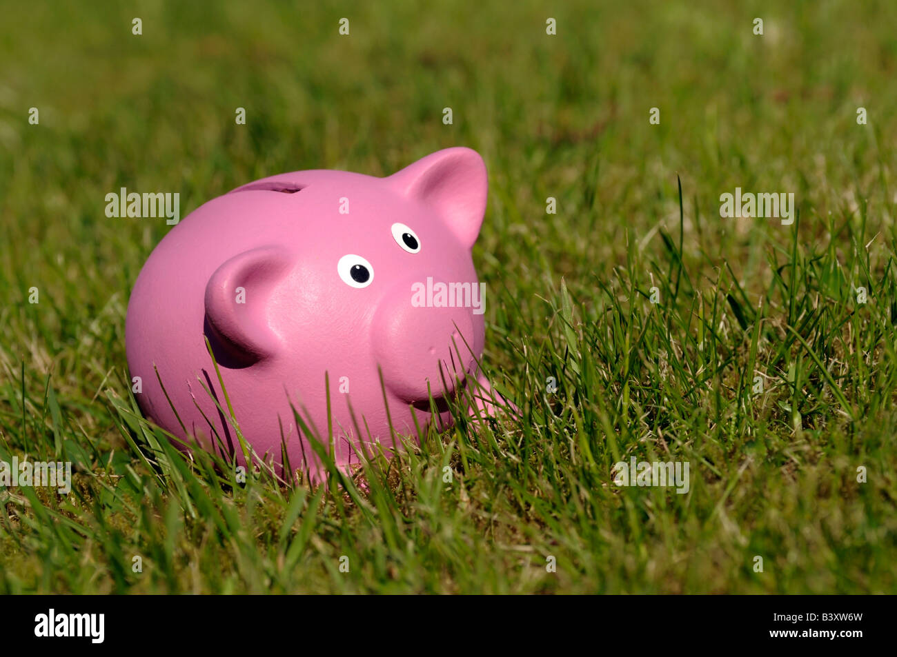 Rosa Sparschwein lange Gras Stockfoto