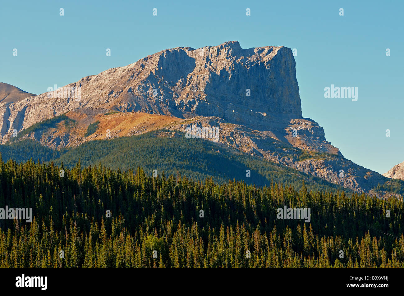 Roche Miette 0803 Stockfoto