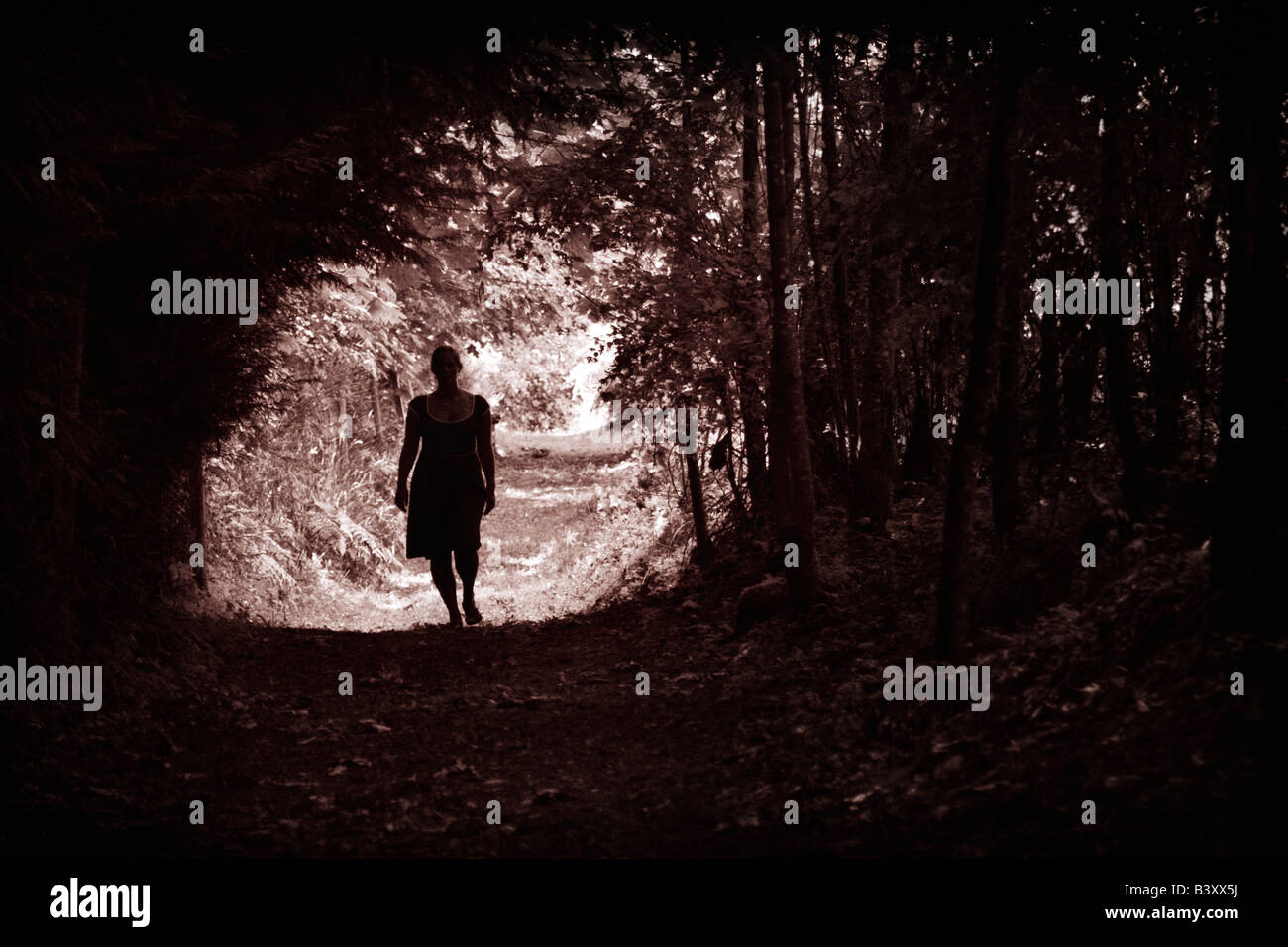 Silhouette der jungen Frau auf Waldweg Stockfoto