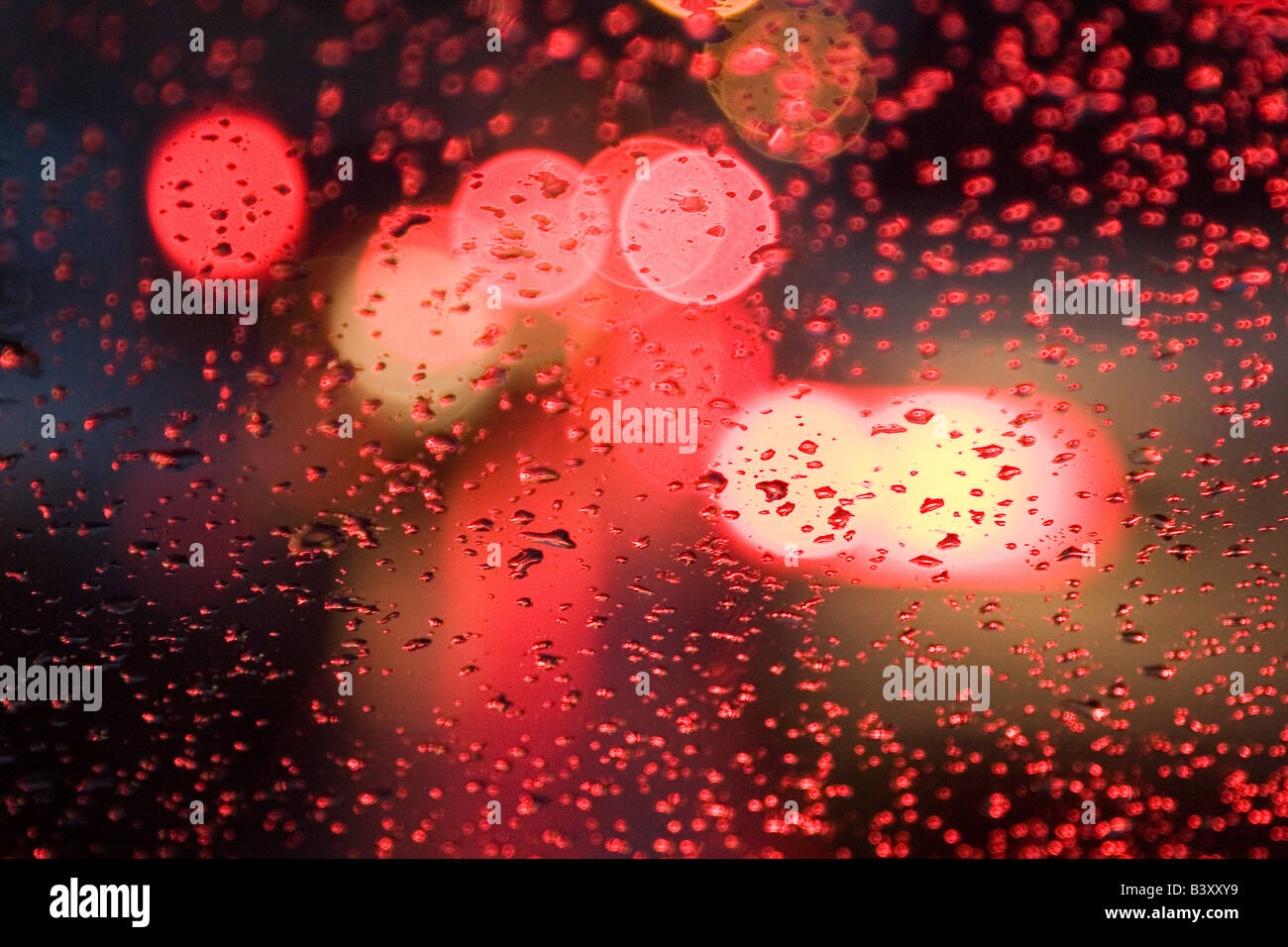 Lichter von Straßenbahnen reflektieren eine Windschutzscheibe bei einem regnerischen Tag Stockfoto