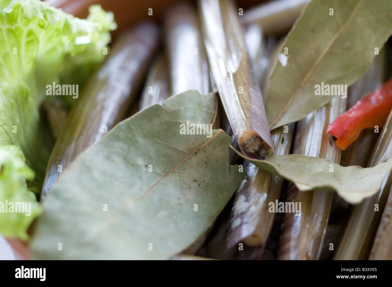 frisch gestochen Muscheln mit Gemüse bereit, Kochen Stockfoto