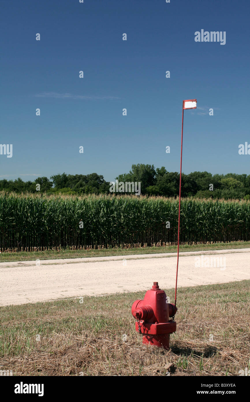 Hydranten mit Flagge, so dass sie unter der oberen Midwest Usa typischen tiefen Schnee gefunden werden kann Stockfoto