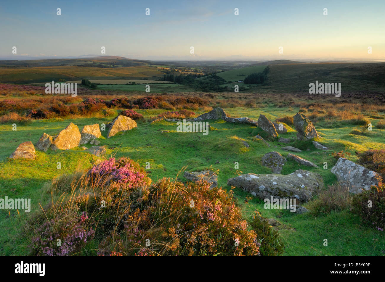 Einen kleinen Steinkreis umgeben von wilder Heide in voller Blüte bei Sonnenaufgang auf Dartmoor National Park in South Devon England Stockfoto