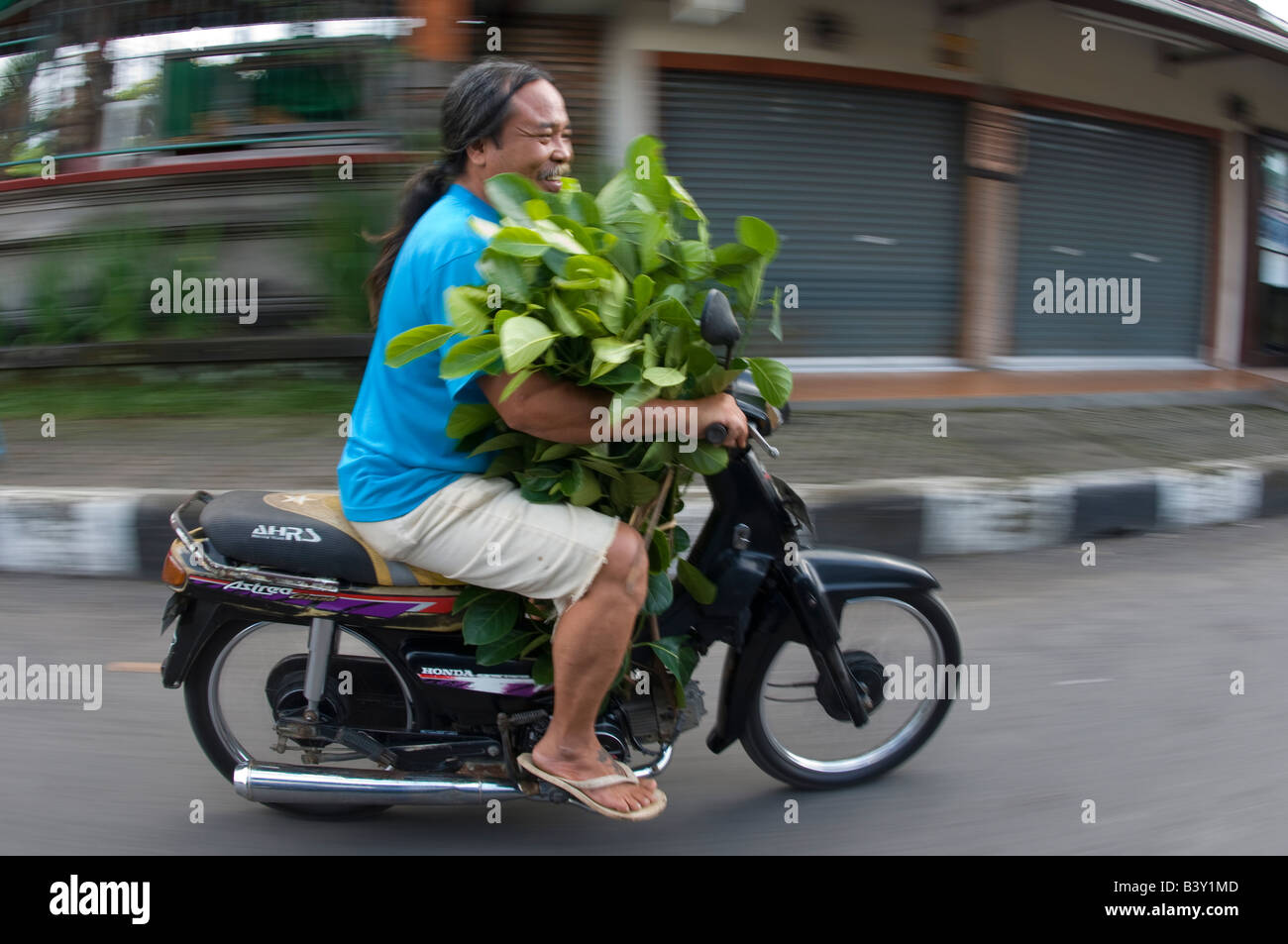 Ein Bewohner von Bali transportiert Gemüse auf seinem moped Stockfoto