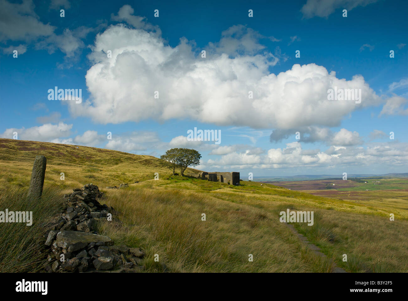 Top Withens, amd Platanen, möglicherweise die Inspiration für Emily Bronte's Wuthering Heights, Haworth Moor, West Yorkshire, England, Großbritannien Stockfoto