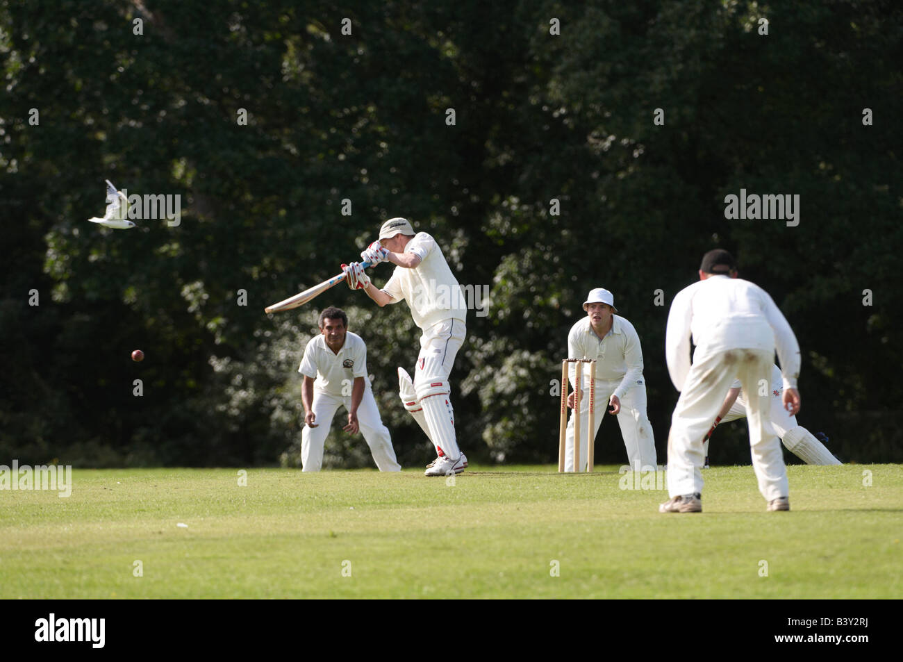 Easton Cowboys & Cowgirls Club spielen Cricket auf er Park Bristol mit Vogel fliegt vorbei Stockfoto