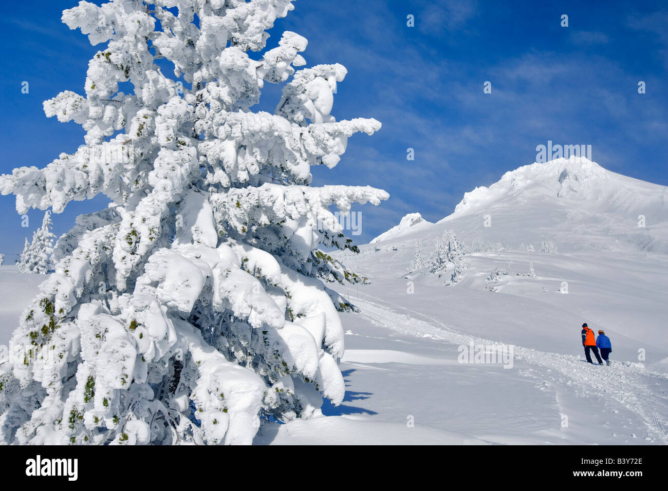 Paare, die auf Spuren im Schnee in Timberline Lodge mit Mt. Hood Oregon Stockfoto
