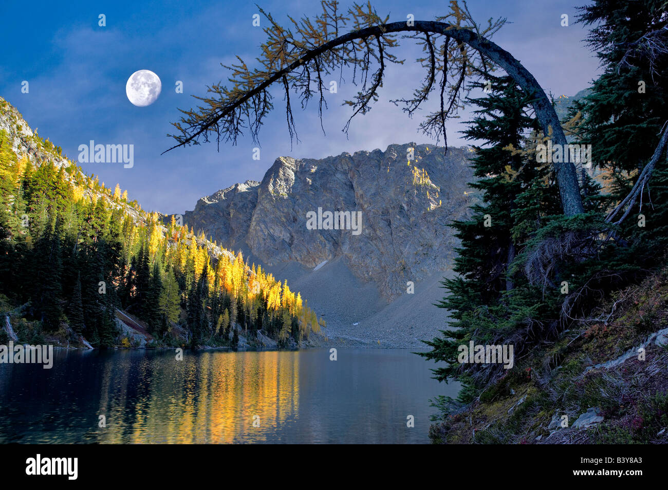 Blue Lake mit Tamarack oder Lärche Bäume in Herbstfarben und Mond reflektiert. Stockfoto