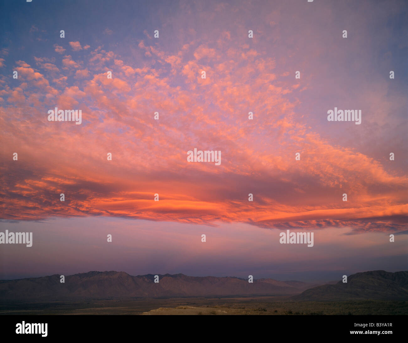ANZA BORREGO DESERT STATE PARK, KALIFORNIEN. USA. Altocumulus & Altostratus linsenförmige Wolken bei Morgendämmerung. Blick von der Schrift Punkt. Stockfoto
