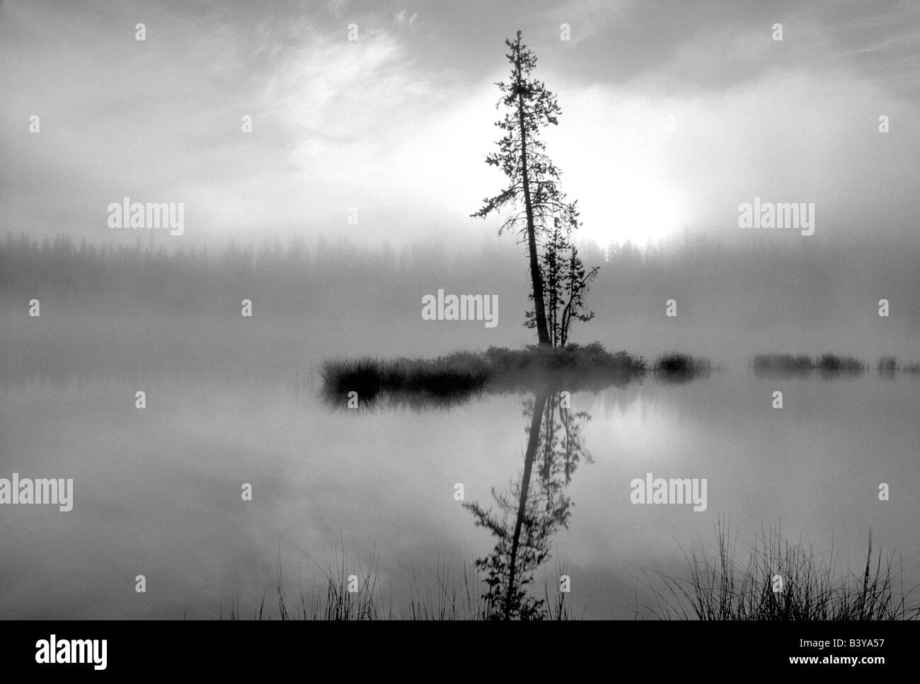 Sonnenaufgang und Nebel auf Scott Lake Oregon Stockfoto