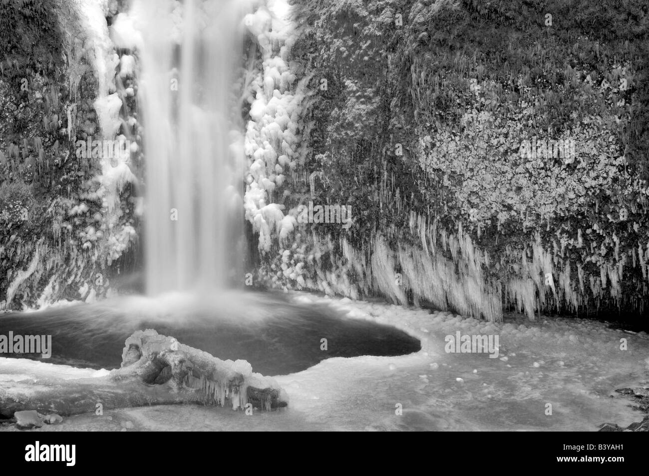 Multnomah Falls mit Eis Oregon Stockfoto