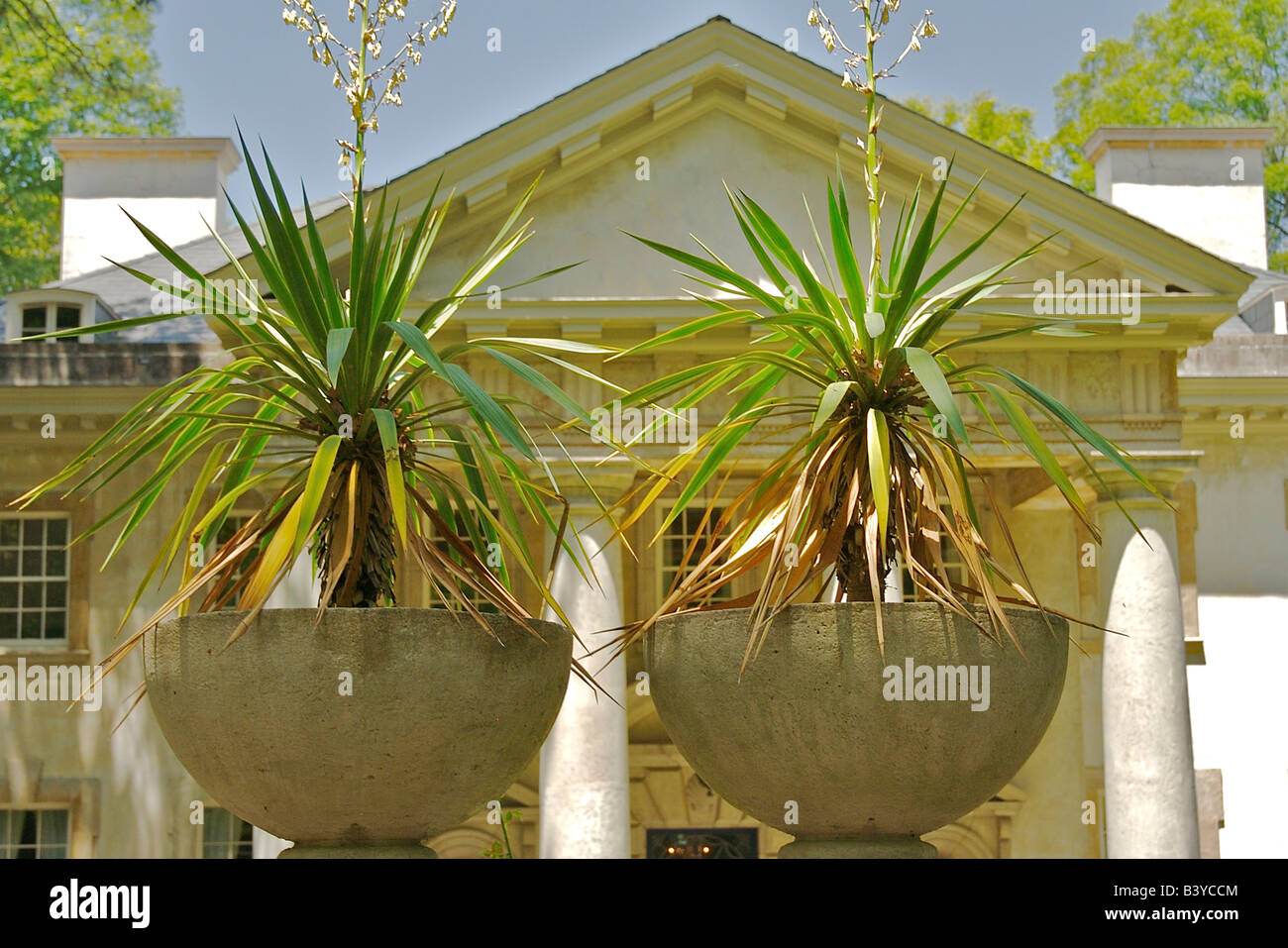 Nordamerika, USA, Georgia, Atlanta.  Pflanzen in Stein Pflanzer vor dem Swan-Haus im Atlanta History Center. Stockfoto