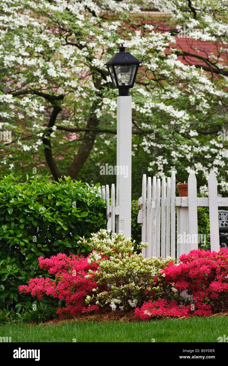 Pickett Zaun, Lampe, Azaleen und Blüte Hartriegel Baum, Cornus Florida, Audubon Nachbarschaft, Louisville, Kentucky Stockfoto